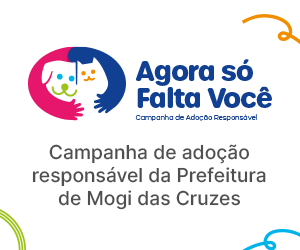 Agora só falta você outubro
