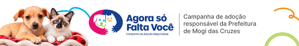 Agora só falta você outubro