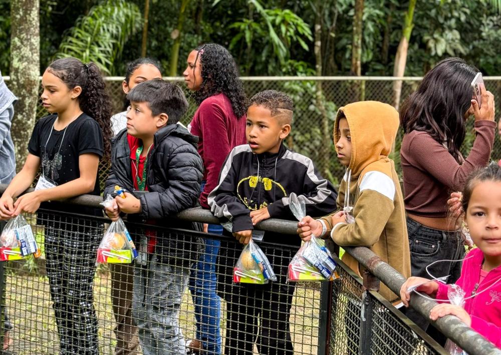 Participaram da iniciativa crianças vinculadas ao Serviço de Convivência e Fortalecimento de Vínculos (SCFV), ao Programa de Erradicação do Trabalho Infantil (PETI) e aos Centros de Referência de Assistência Social (CRAS).